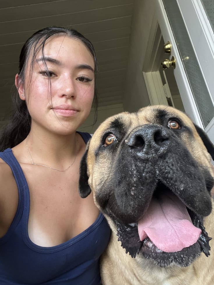 Photo in Sitter's gallery