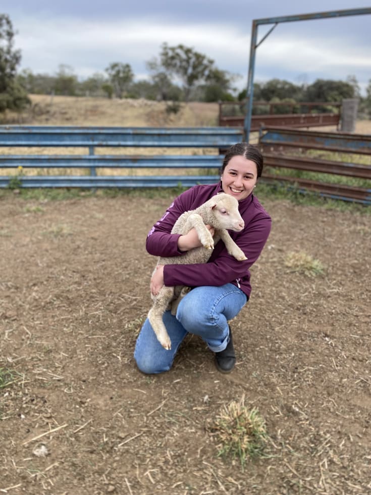 Photo in Sitter's gallery