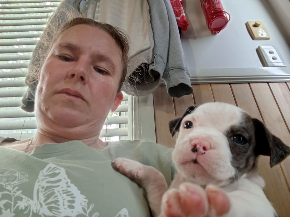 Photo in Sitter's gallery