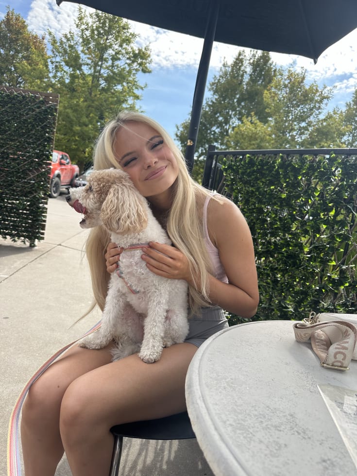 Photo in Sitter's gallery