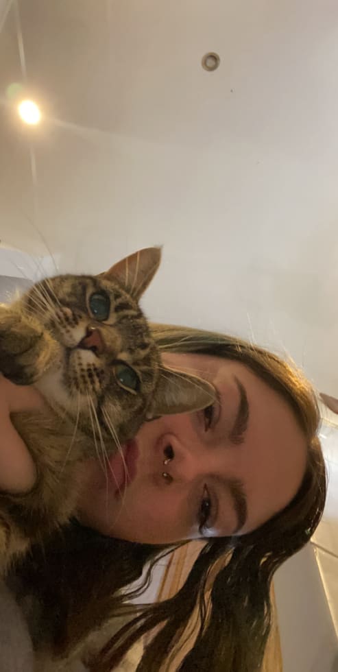 Photo in Sitter's gallery