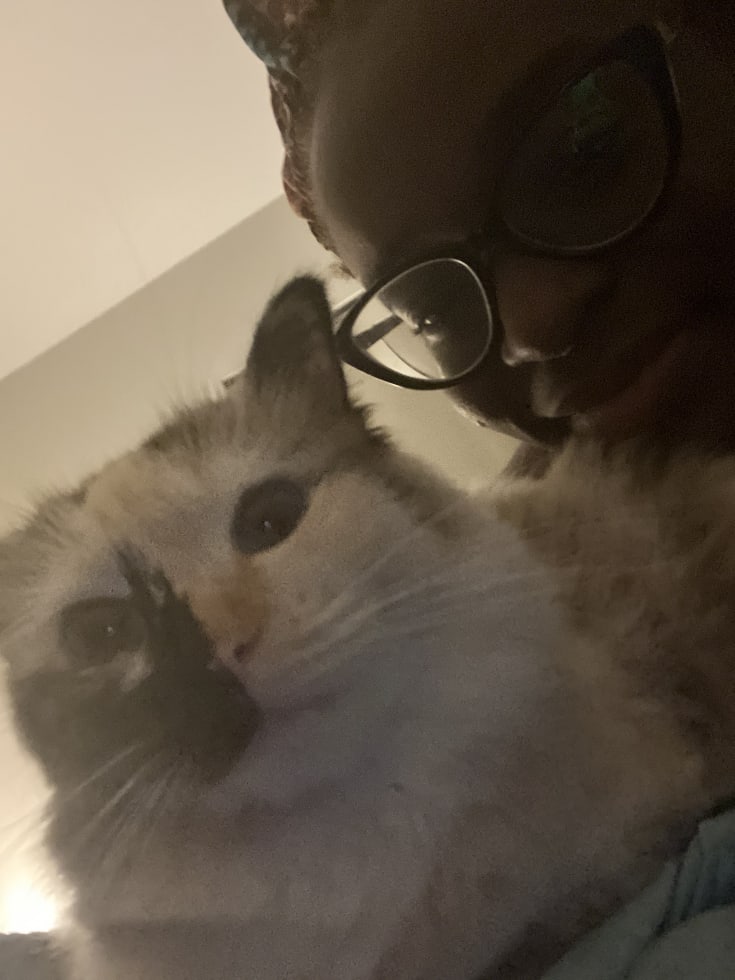 Photo in Sitter's gallery