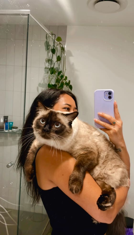 Photo in Sitter's gallery