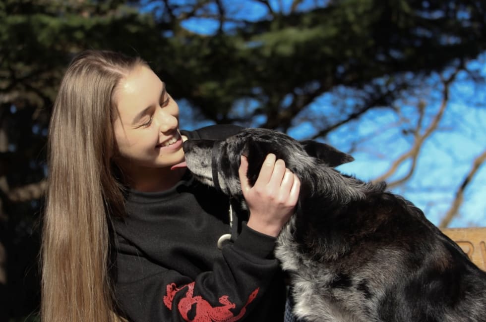 Photo in Sitter's gallery