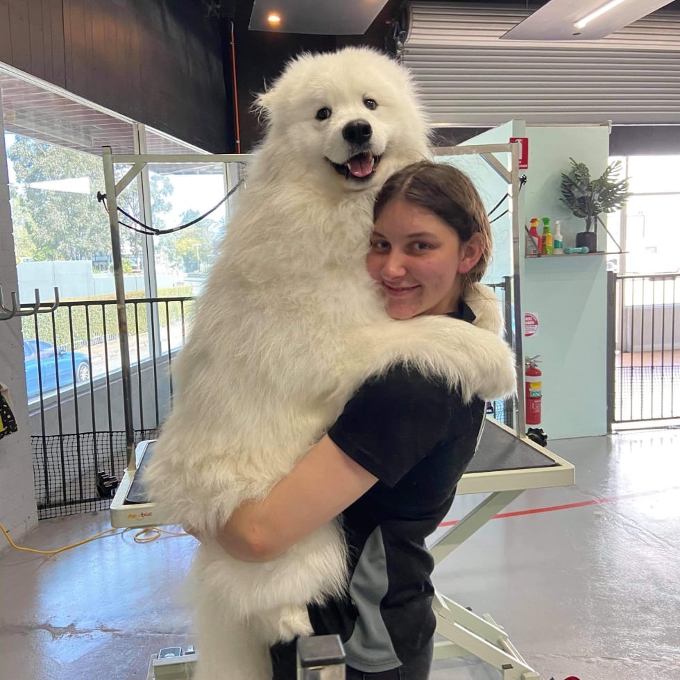 Photo in Sitter's gallery