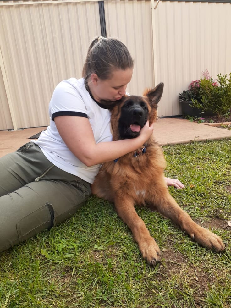 Photo in Sitter's gallery