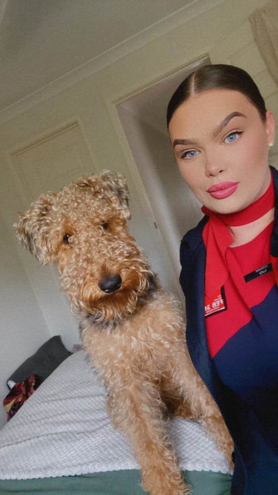 Photo in Sitter's gallery