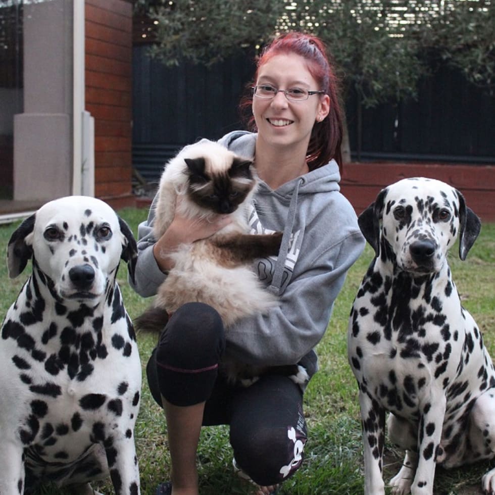 Photo in Sitter's gallery