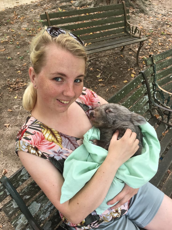 Photo in Sitter's gallery