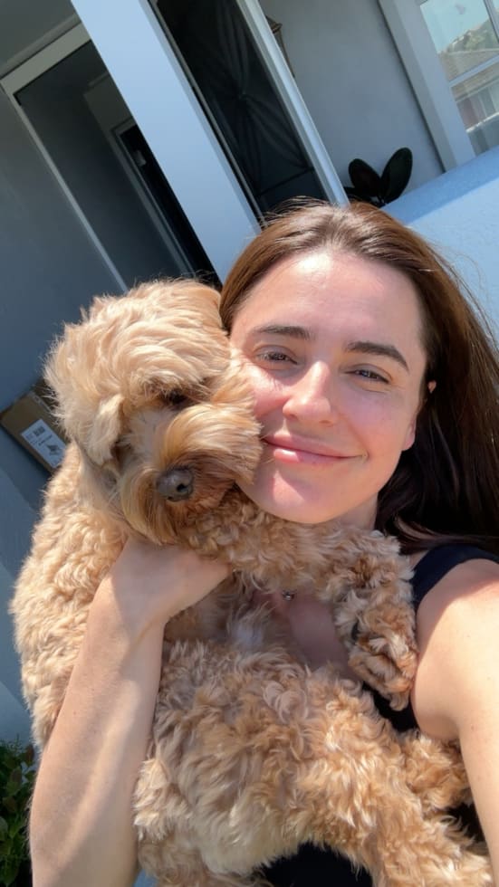 Photo in Sitter's gallery