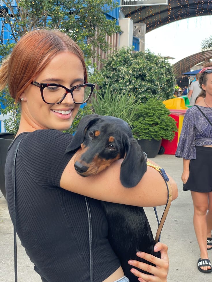 Photo in Sitter's gallery