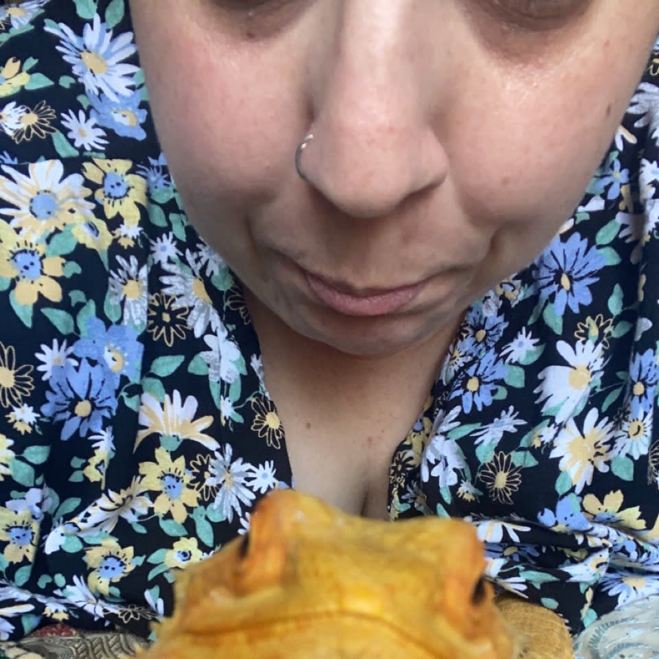 Photo in Sitter's gallery