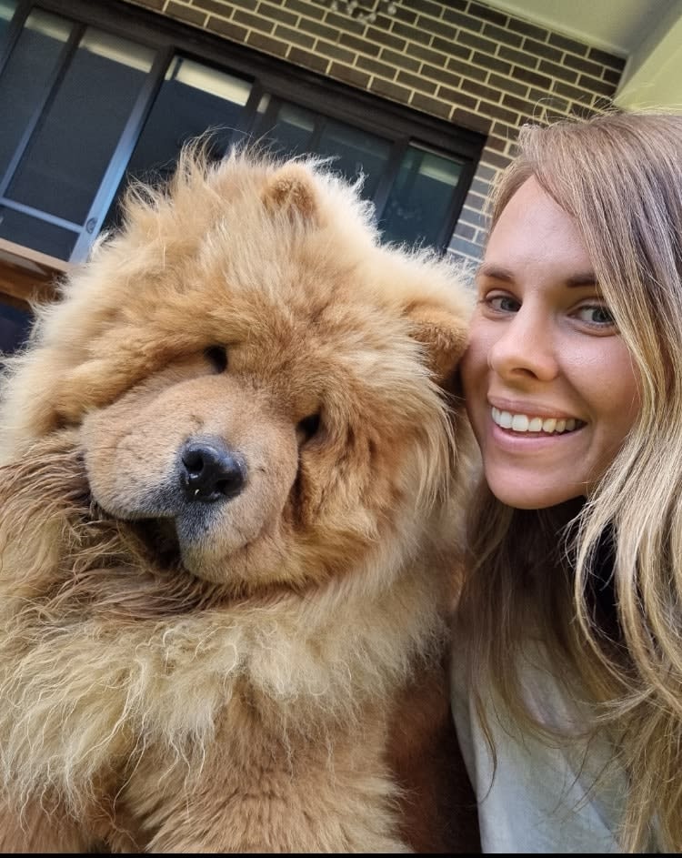 Photo in Sitter's gallery