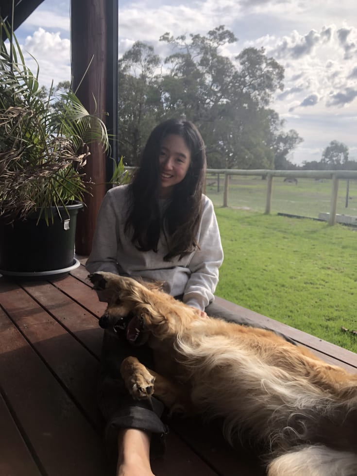 Photo in Sitter's gallery