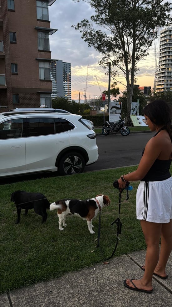 Photo in Sitter's gallery