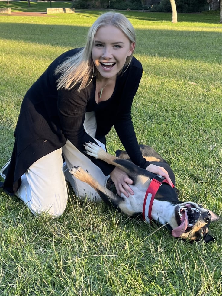 Photo in Sitter's gallery