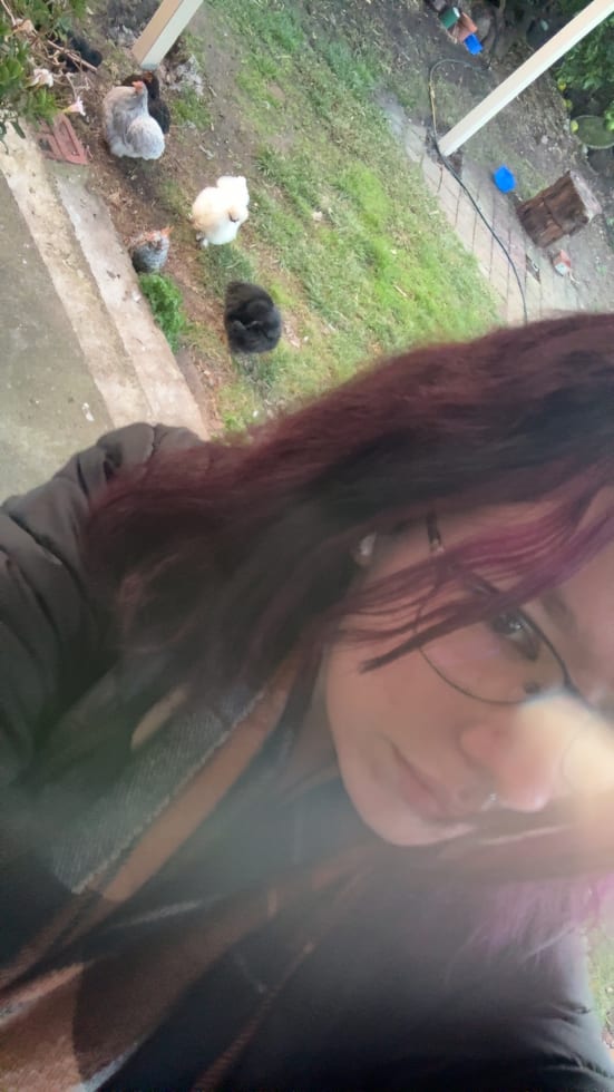 Photo in Sitter's gallery