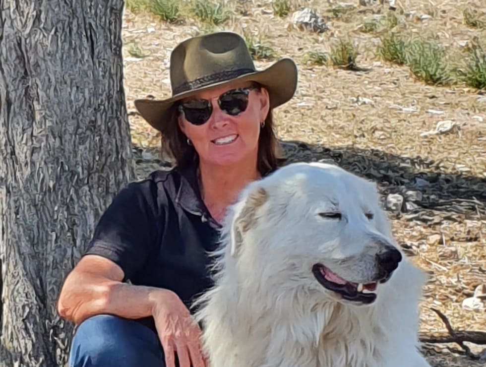 Photo in Sitter's gallery