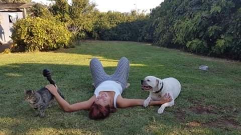 Photo in Sitter's gallery