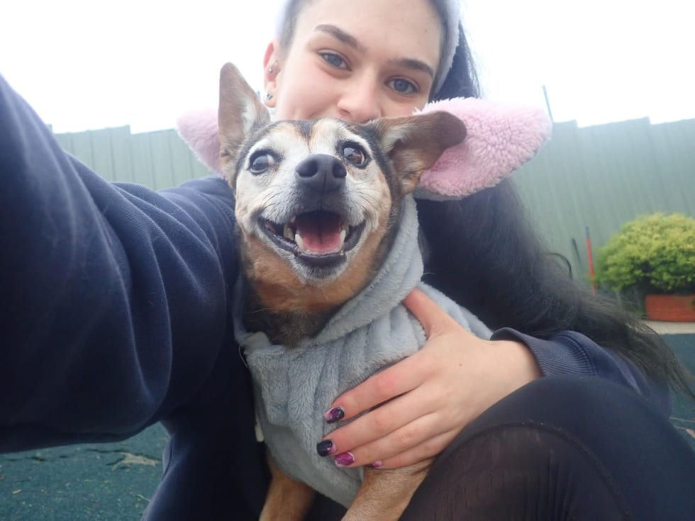 Photo in Sitter's gallery