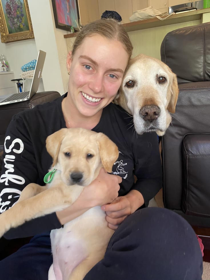 Photo in Sitter's gallery