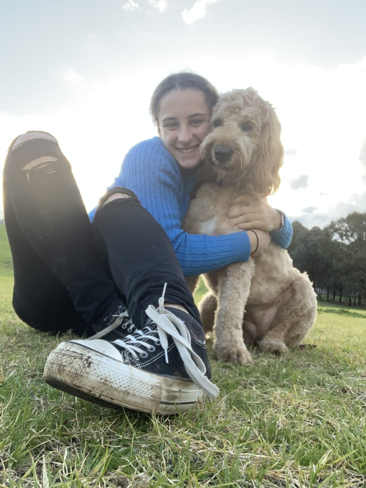 Photo in Sitter's gallery