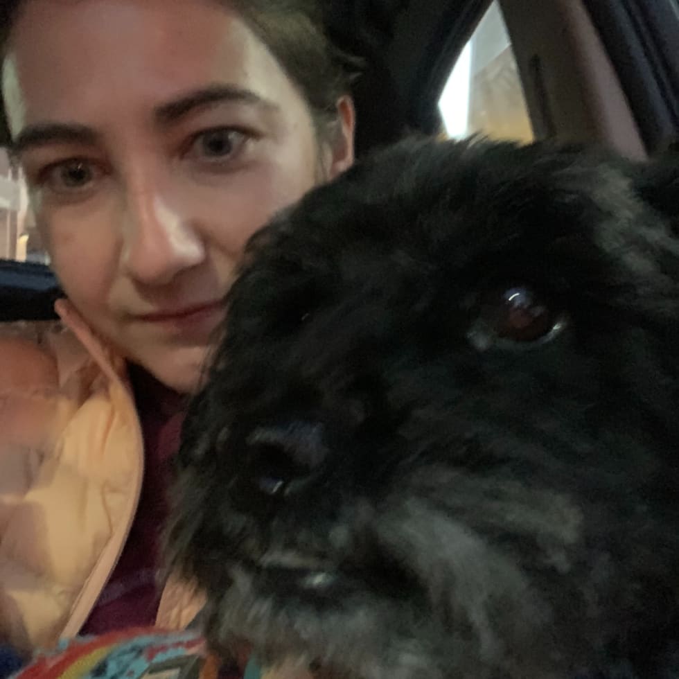 Photo in Sitter's gallery