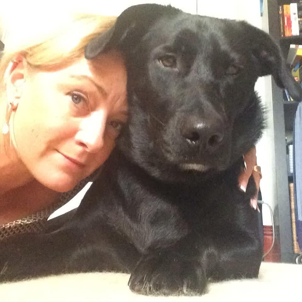 Photo in Sitter's gallery