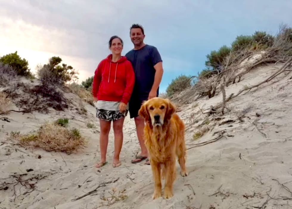 Photo in Sitter's gallery