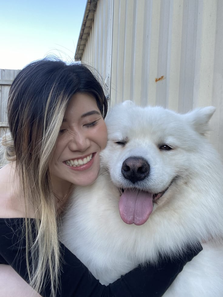 Photo in Sitter's gallery