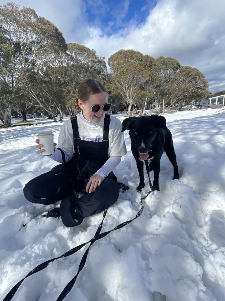 Photo in Sitter's gallery