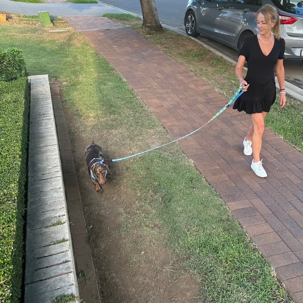 Photo in Sitter's gallery