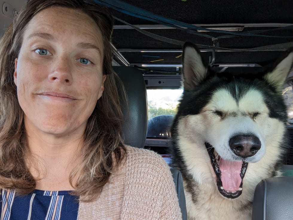 Photo in Sitter's gallery