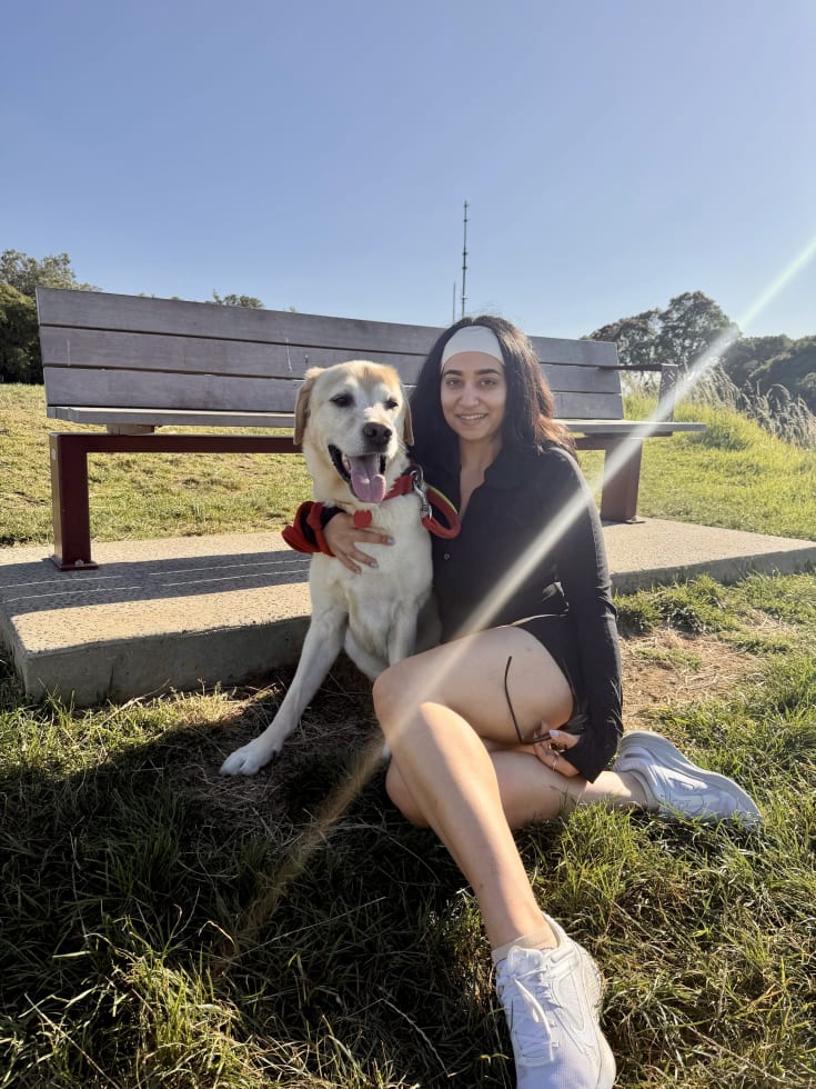 Photo in Sitter's gallery