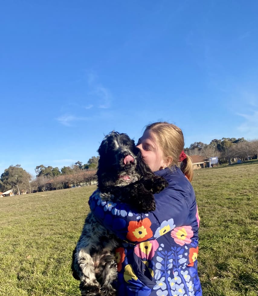 Photo in Sitter's gallery