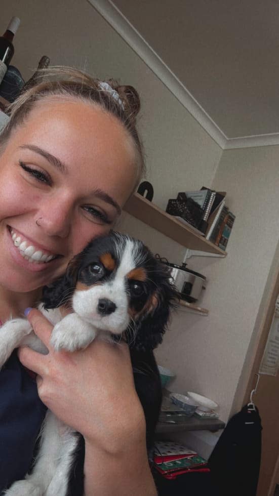 Photo in Sitter's gallery