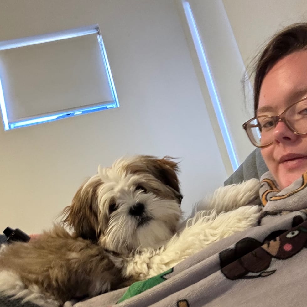 Photo in Sitter's gallery