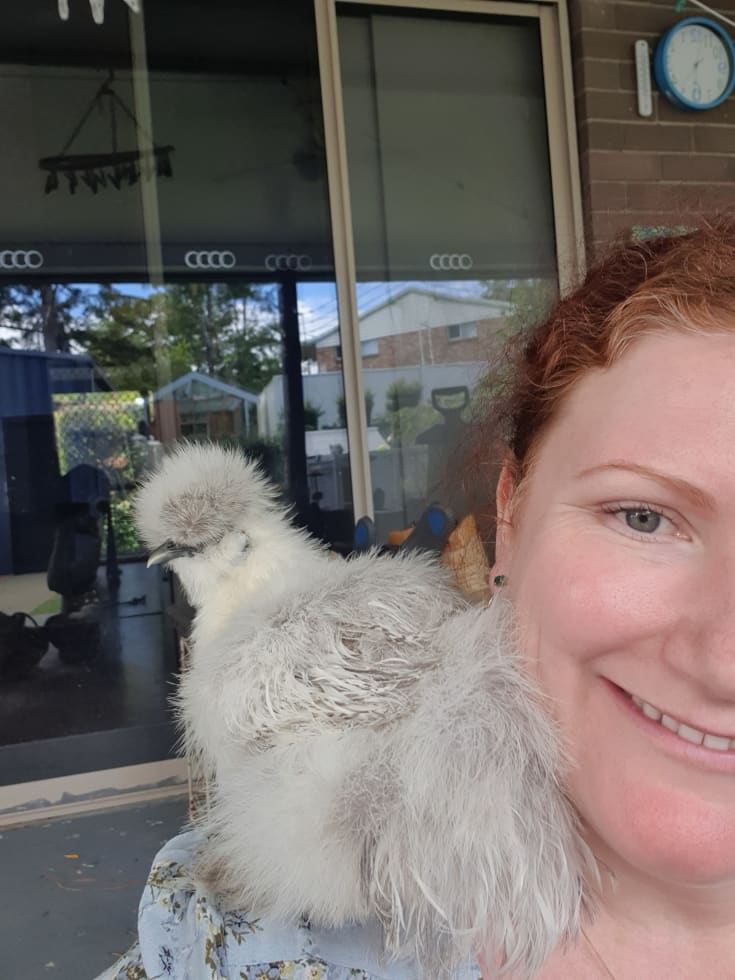 Photo in Sitter's gallery