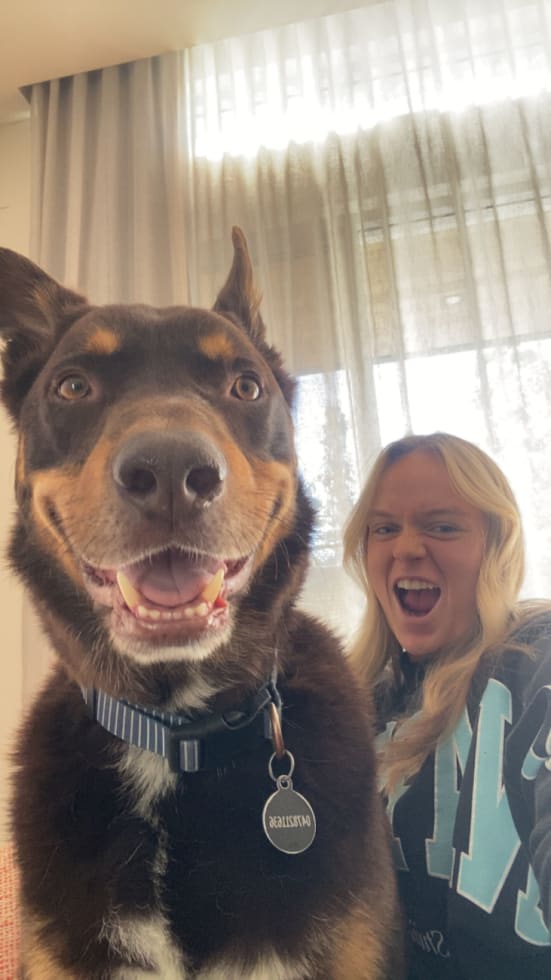 Photo in Sitter's gallery