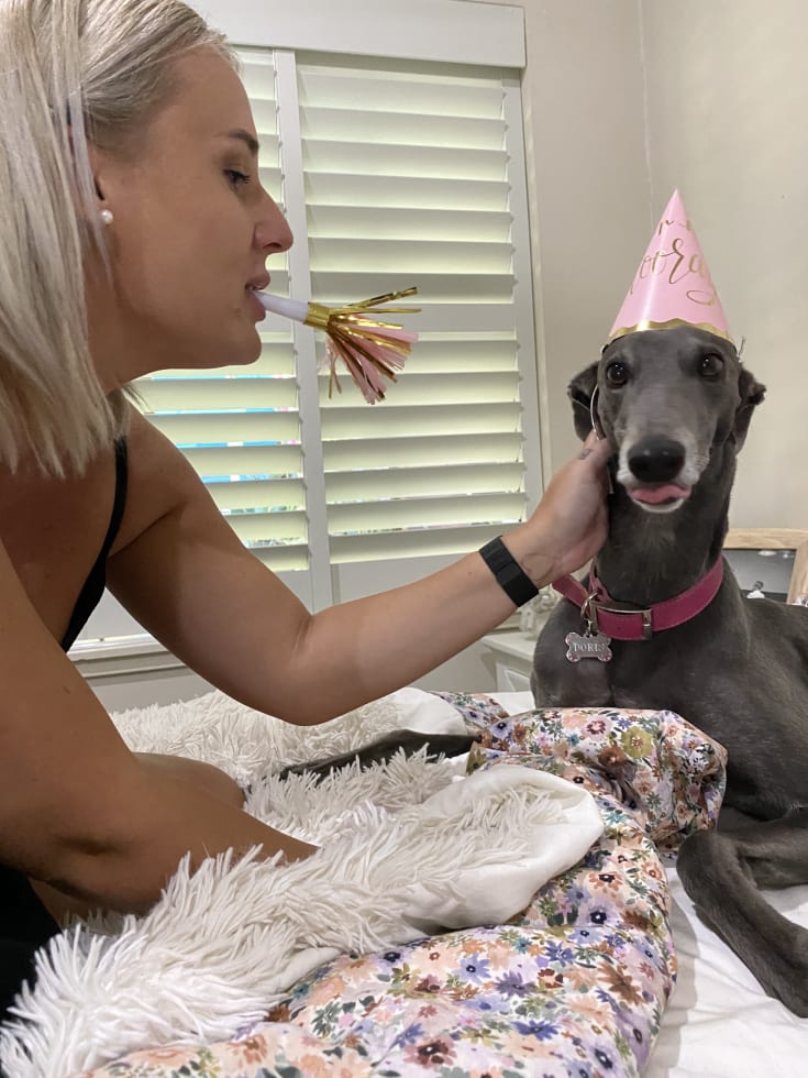 Photo in Sitter's gallery