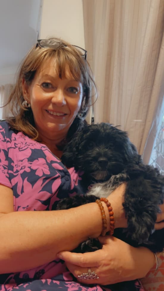 Photo in Sitter's gallery