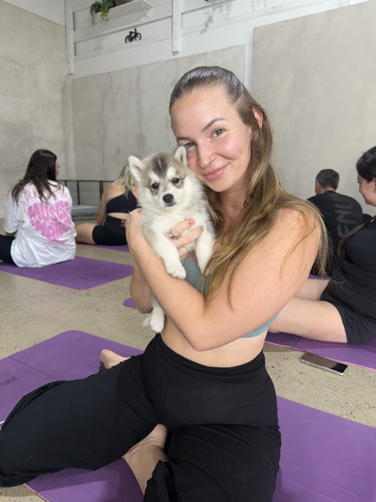 Photo in Sitter's gallery