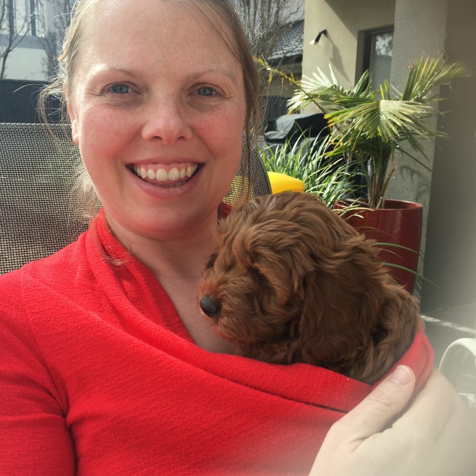 Photo in Sitter's gallery