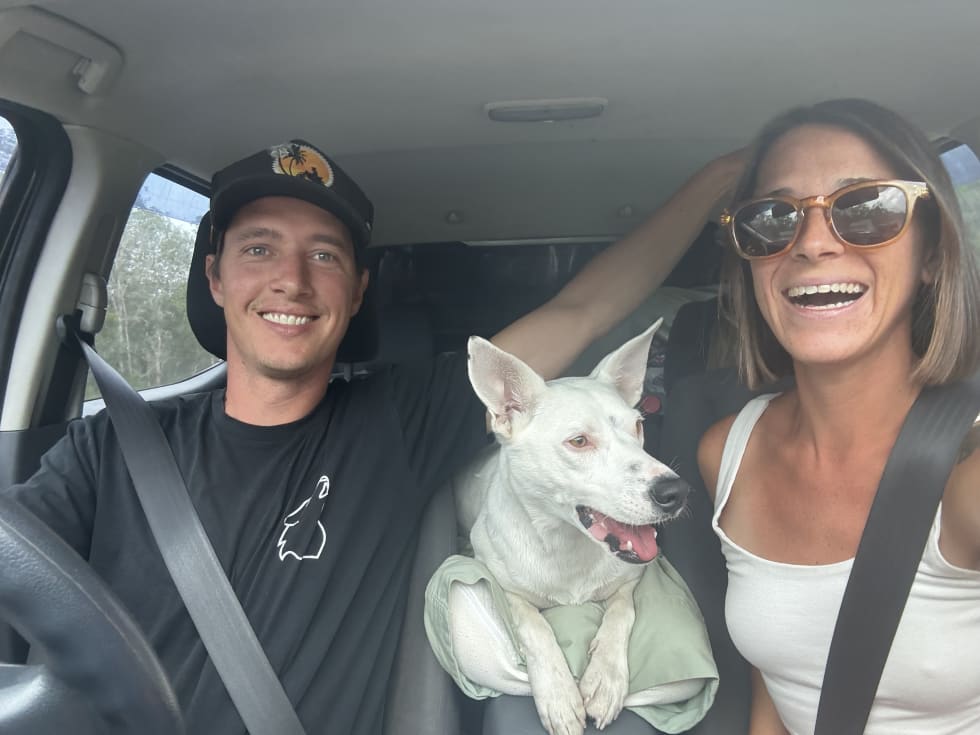 Photo in Sitter's gallery