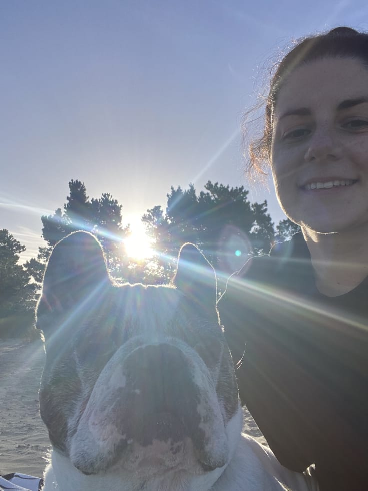 Photo in Sitter's gallery