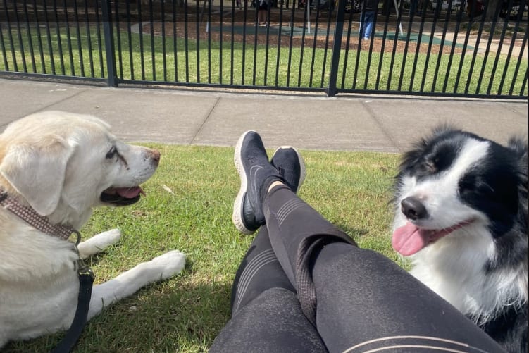 Photo in Sitter's gallery