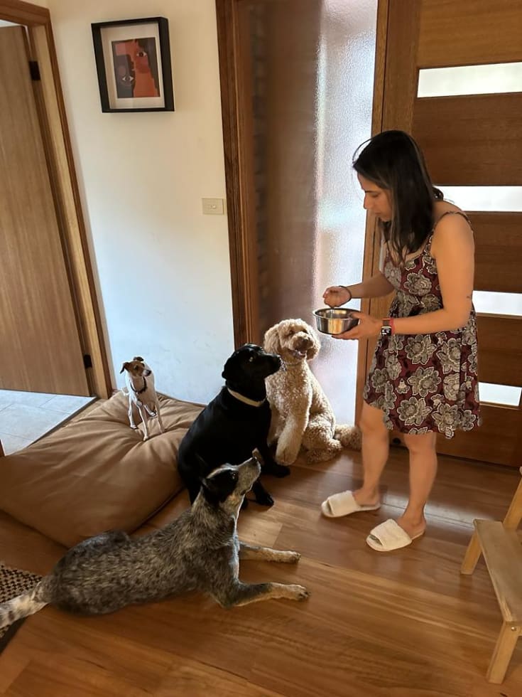 Photo in Sitter's gallery