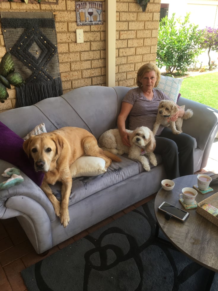 Photo in Sitter's gallery