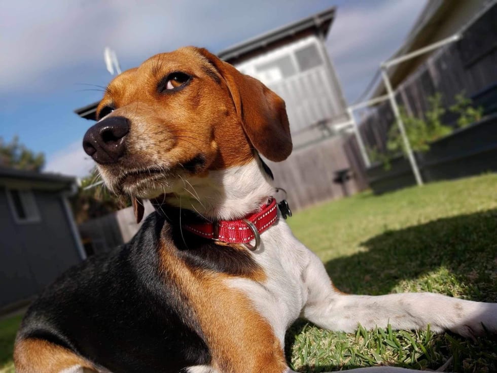 Photo in Sitter's gallery