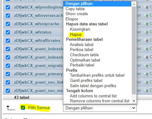 Cara Mengembalikan Backup dari Plugin UpDraftPlus yang berbeda Domain